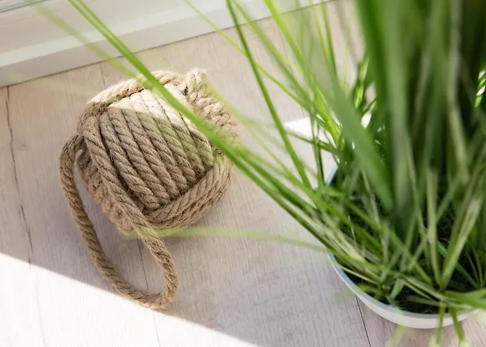 Hafenlodge Lejlighed